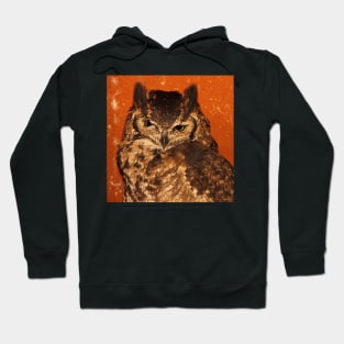 Giant Eagle Owl, Arusha, Tanzania, East Africa Hoodie